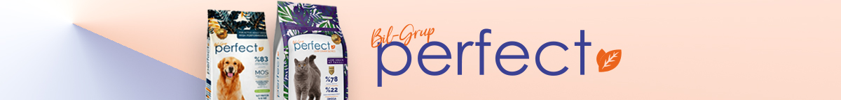 Perfect banner homepage