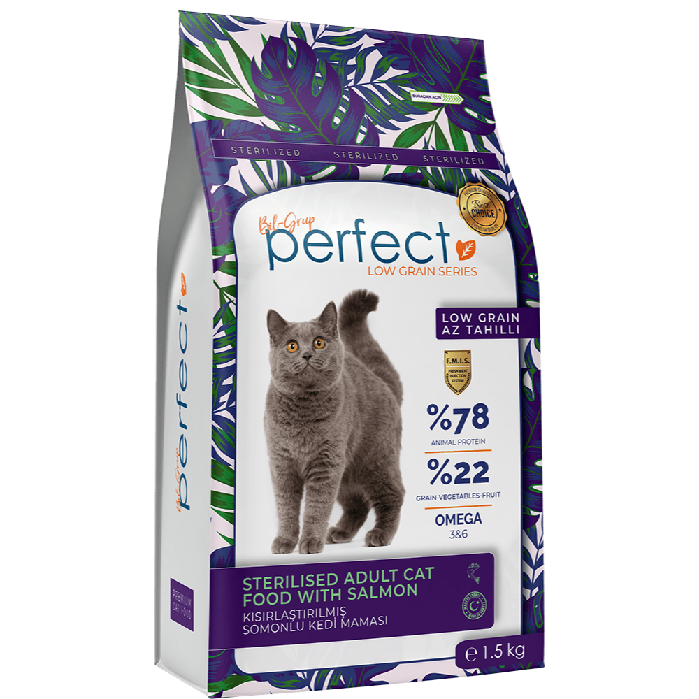 Perfect sterilized adult cat losos